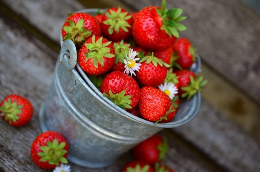 Strawberries in metal bucket
